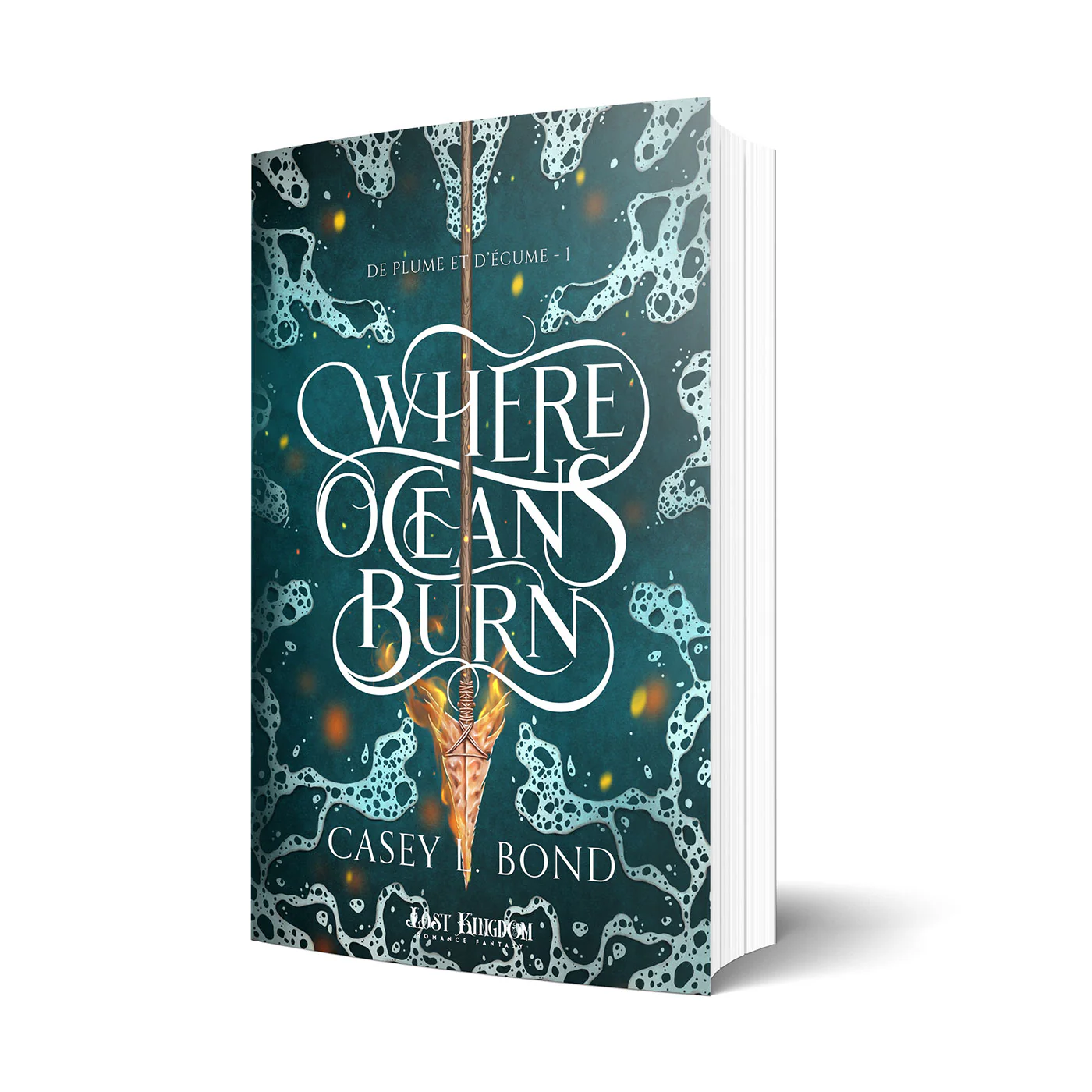 Where Oceans Burn - Image 2