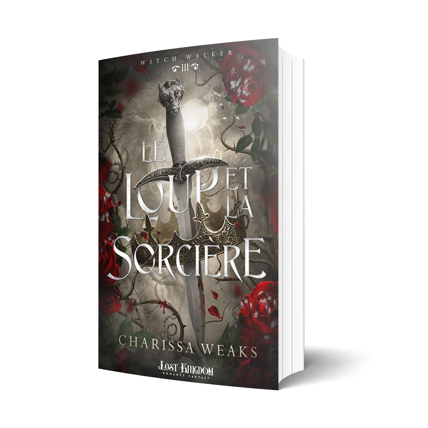Le loup et la sorcière - Image 2