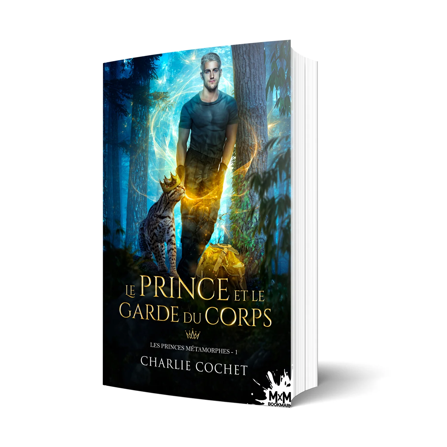 Le prince et le garde du corps