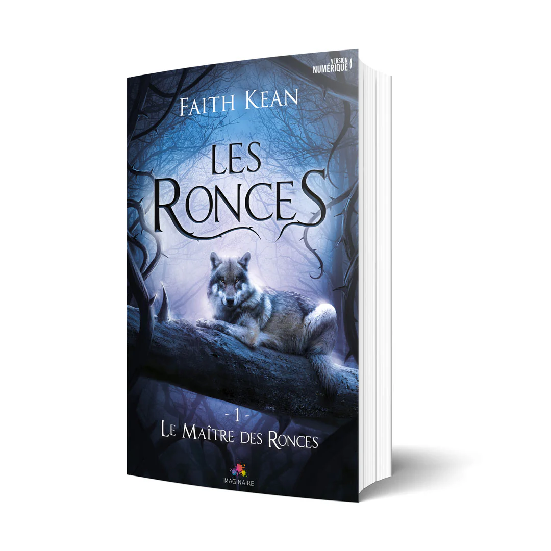 Le Maitre des Ronces