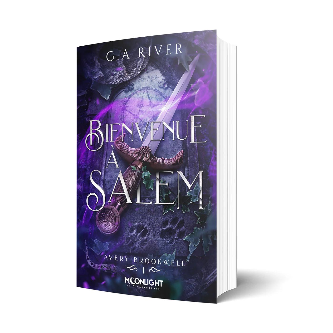 Bienvenue à Salem