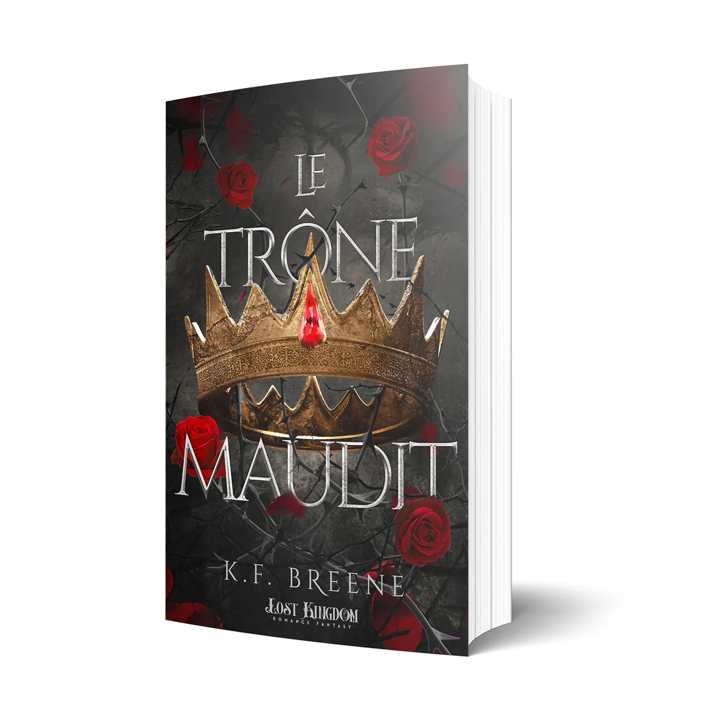 Le trône maudit - Image 2