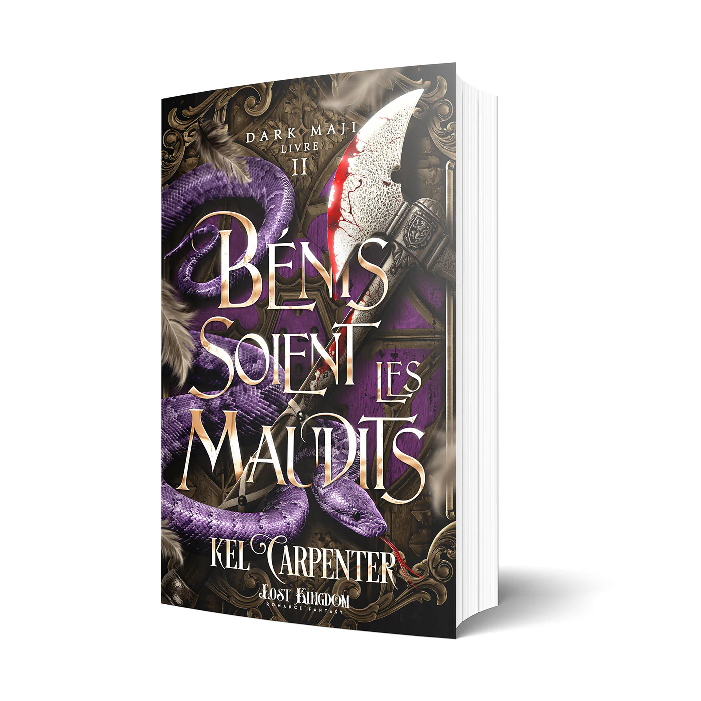 Bénis soient les Maudits - Image 2