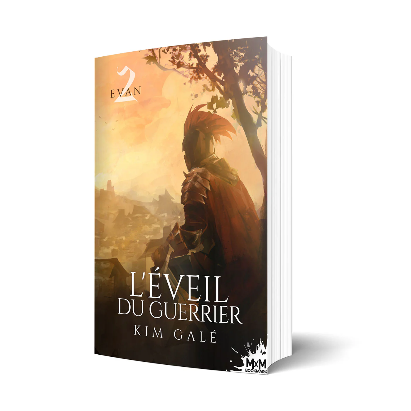 L'éveil du guerrier