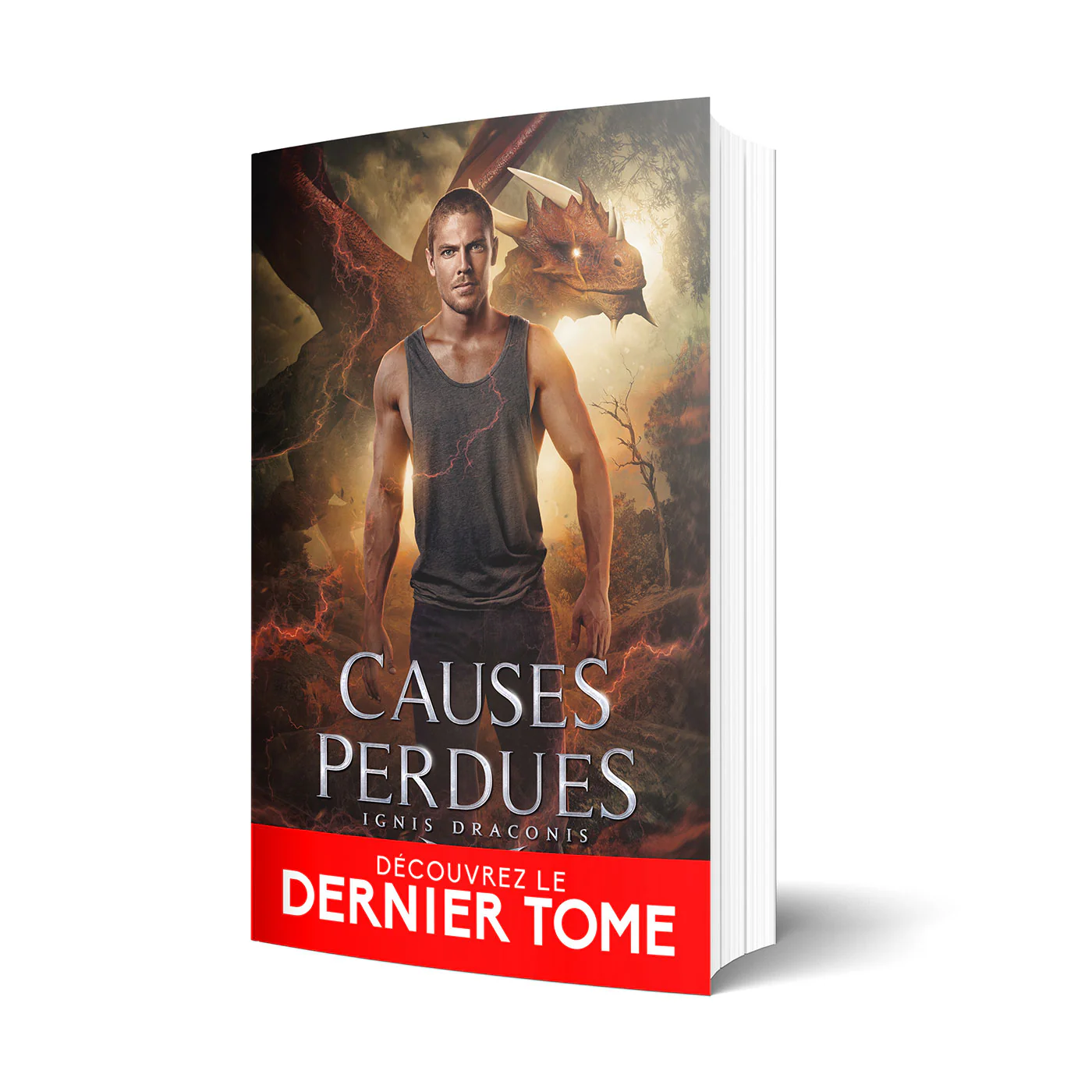 Causes perdues