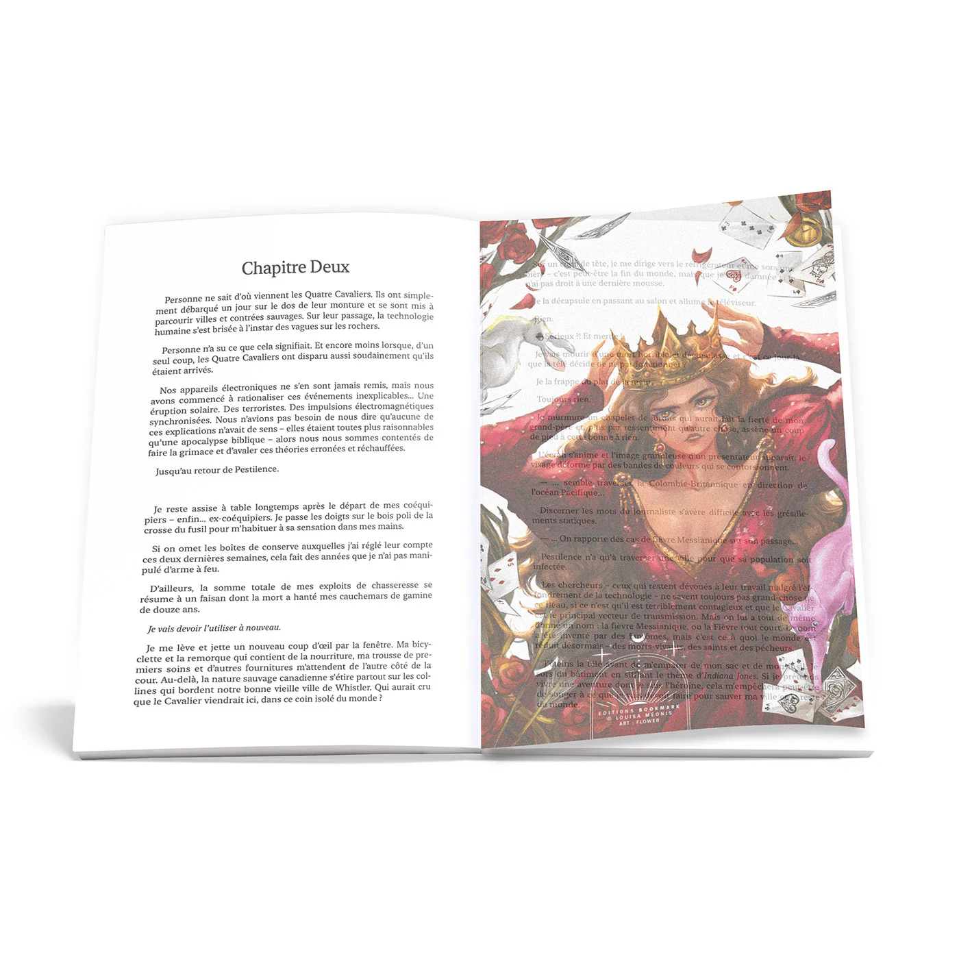 Overlay - Wonderland #2 - Broché grand format