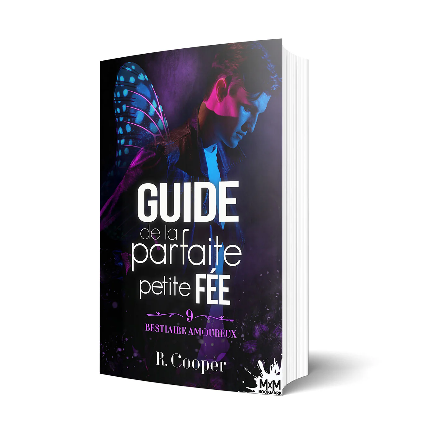 Guide de la parfaite petite Fée