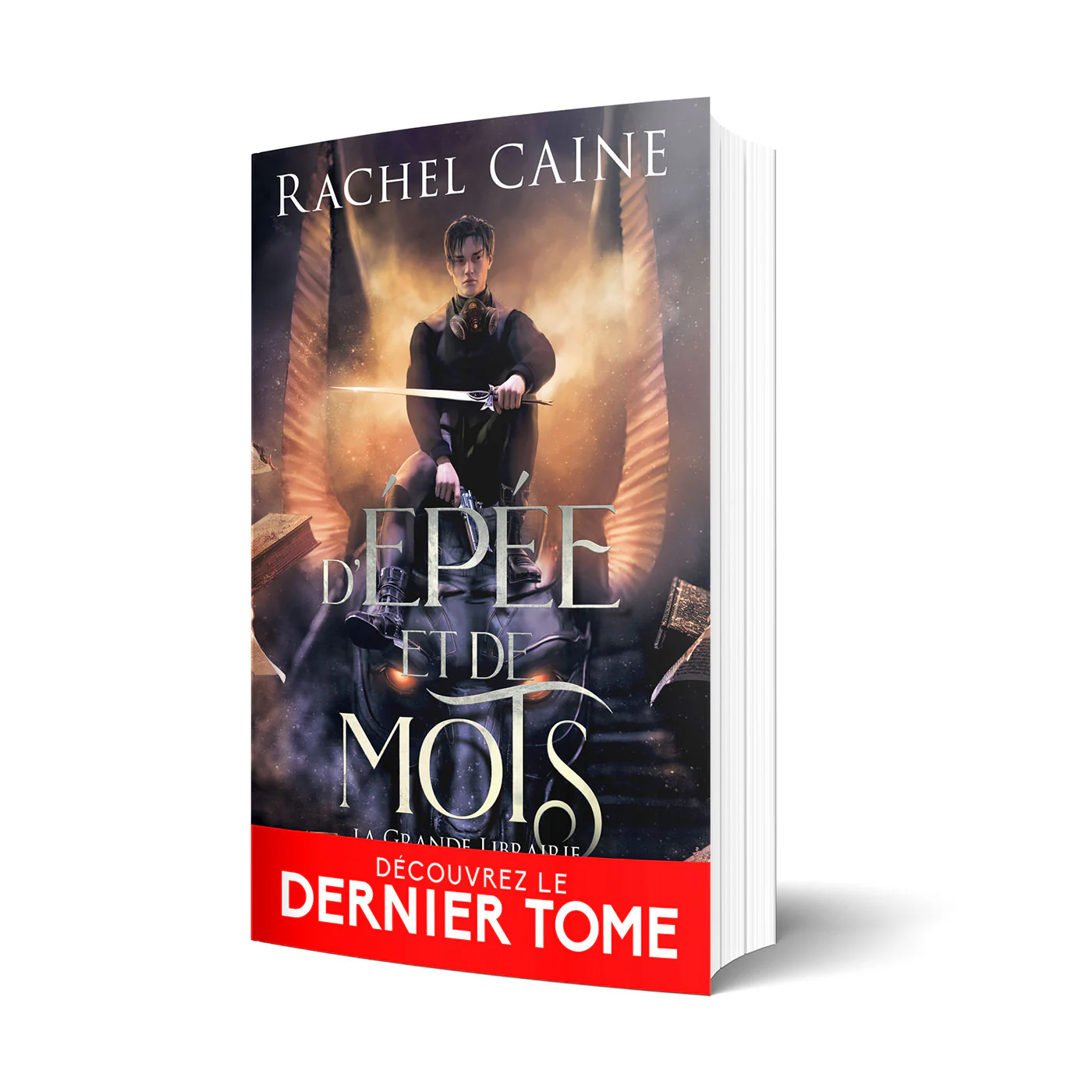 D'épée et de mots