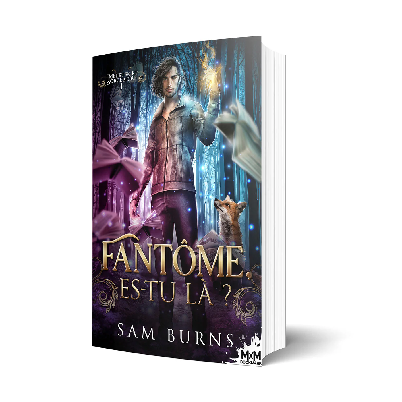 Fantôme, es-tu là ?